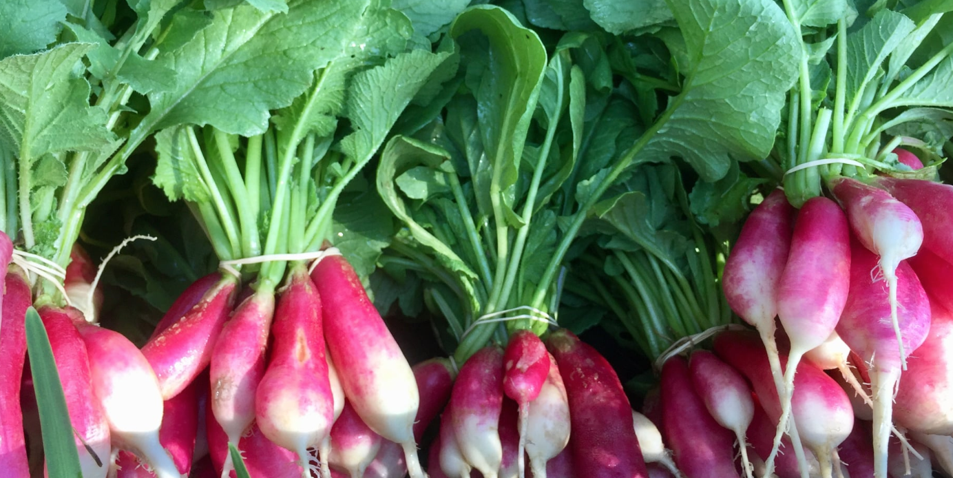 The Garden Farmacy – Homegrown Food for a Homegrown Economy